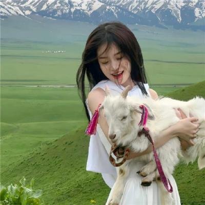 倩狐之京卫怪谈 海报