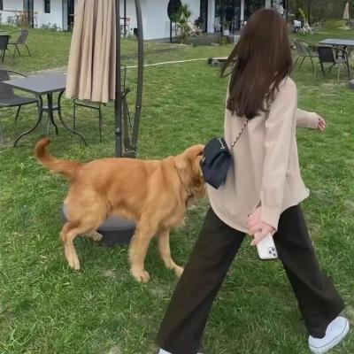 阿班与裘迪 海报